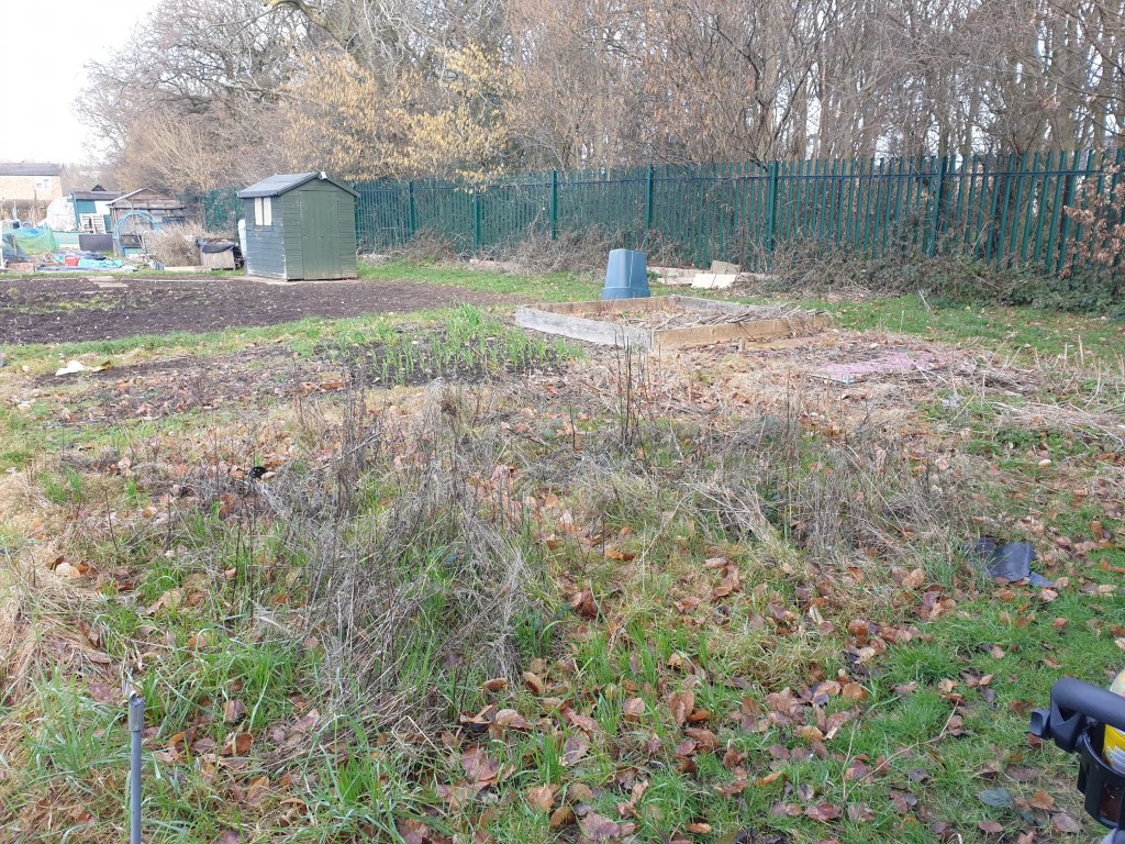 Main focus is on an overgrown sqarish-ish allotment plot. Just visible is what could be 6 good sized vegetable beds. One is filled with garlic. In the distance is a fence and more plots. 