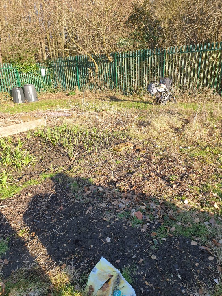 Another angle of the plot. This time facing toward the fence line so you can tell its a corner plot. The sun is from behind the camera and cast shadows away toward the fence. Also a pram is visible. My smallest garden helper.