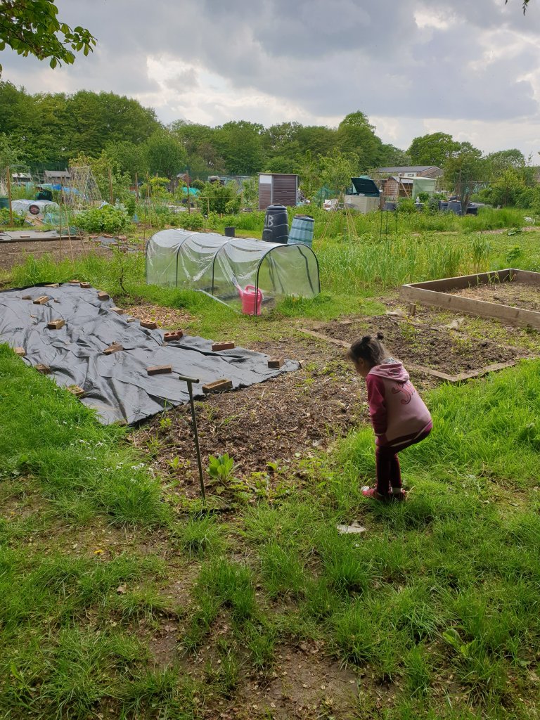 Our older one standing bent over looking at the frog. The view of the plot is in front of her. 